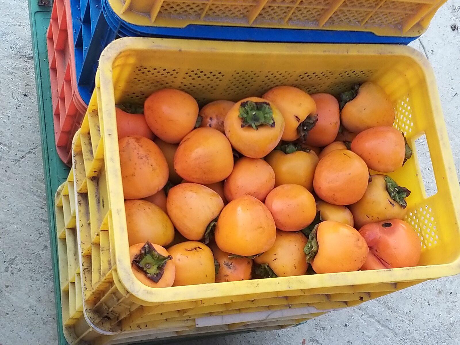 수확